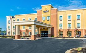 Comfort Inn Suites Rock Hill Sc